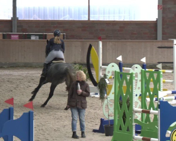 Reitturnier Heek-Nienborg 2024