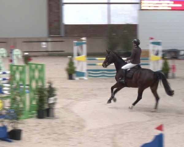 Reitturnier Heek-Nienborg 2024