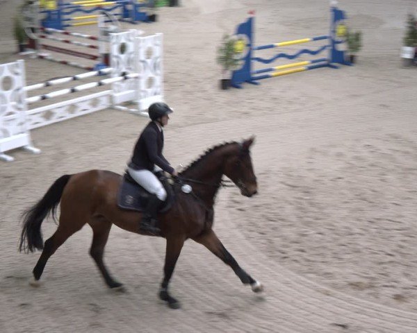 Reitturnier Heek-Nienborg 2024