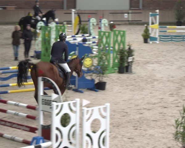 Reitturnier Heek-Nienborg 2024
