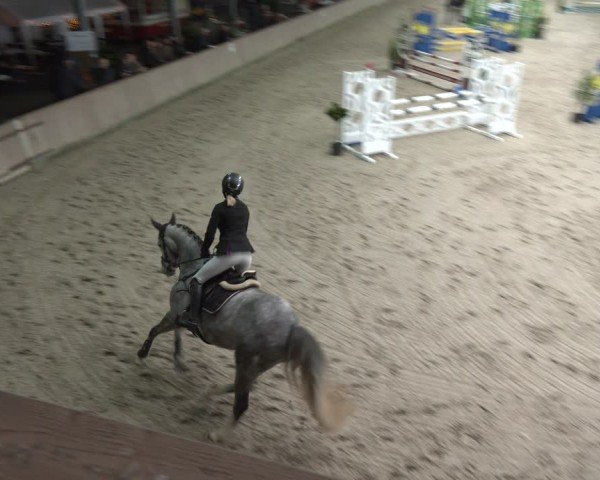 Reitturnier Heek-Nienborg 2024