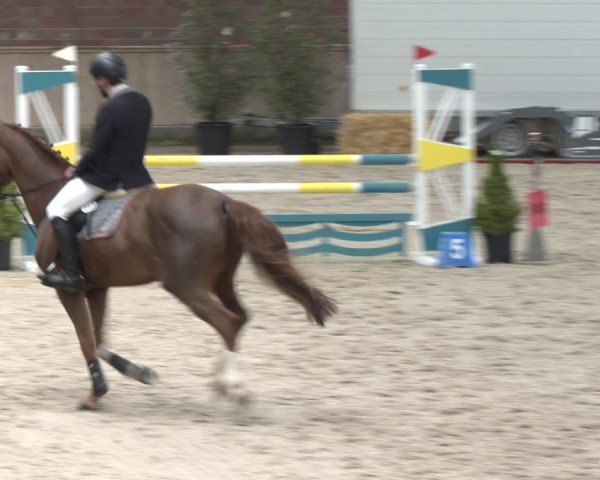 Reitturnier Heek-Nienborg 2024