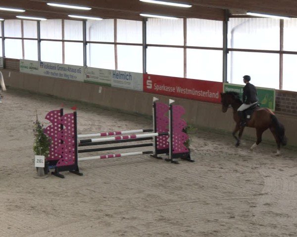 Reitturnier Heek-Nienborg 2024