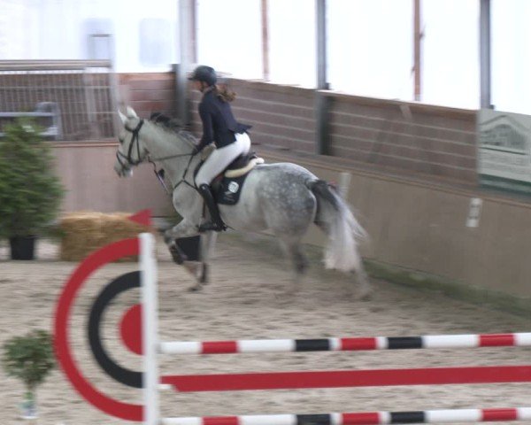 Reitturnier Heek-Nienborg 2024