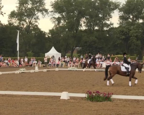 Reitturnier Münster-Handorf 2013