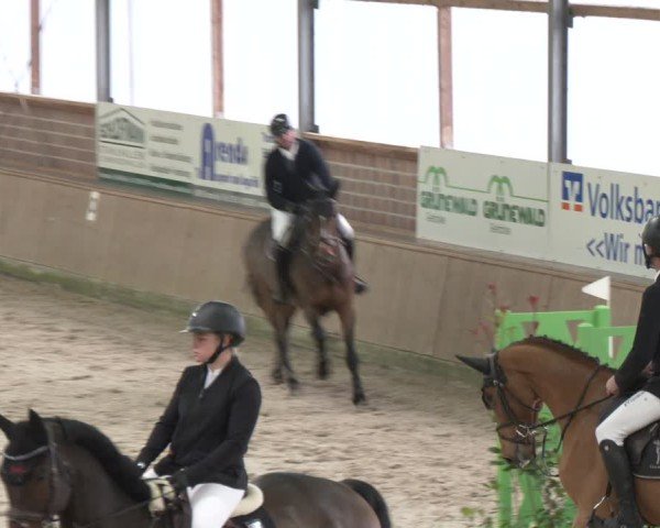 Reitturnier Heek-Nienborg 2024