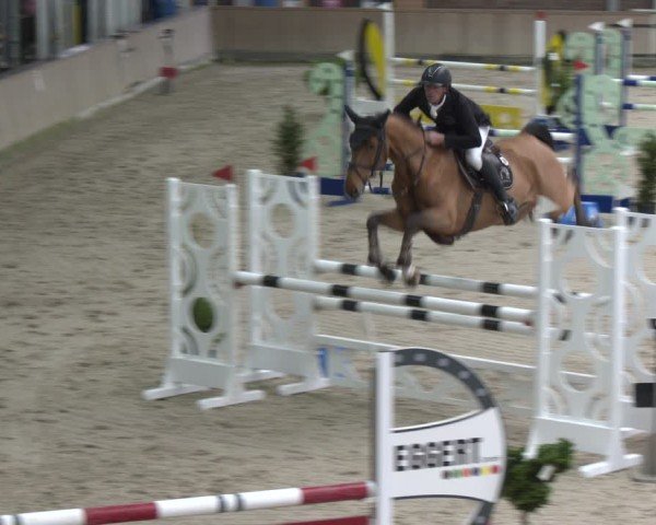 Reitturnier Heek-Nienborg 2024