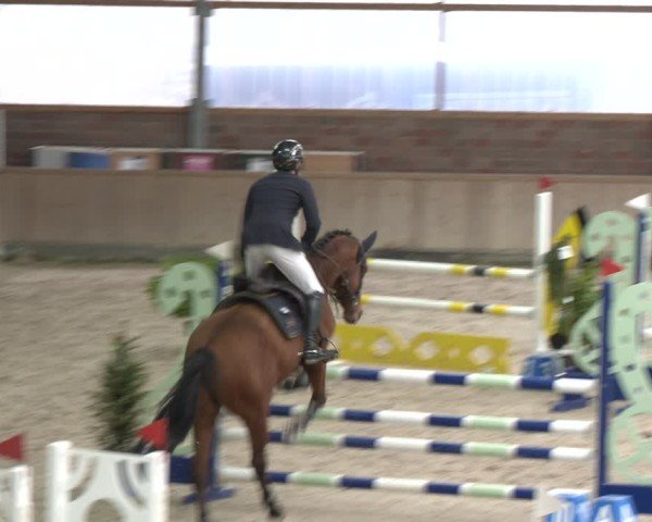 Reitturnier Heek-Nienborg 2024