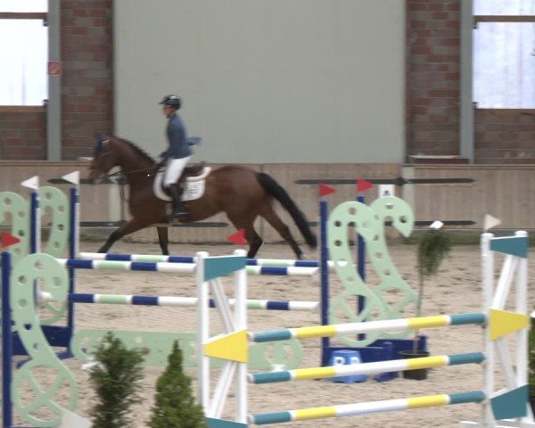 Reitturnier Heek-Nienborg 2024