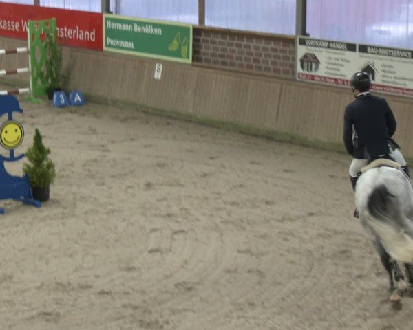 Reitturnier Heek-Nienborg 2024