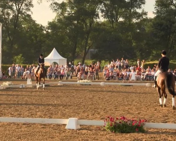 Reitturnier Münster-Handorf 2013