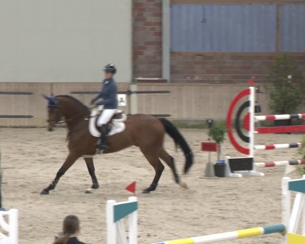 Reitturnier Heek-Nienborg 2024