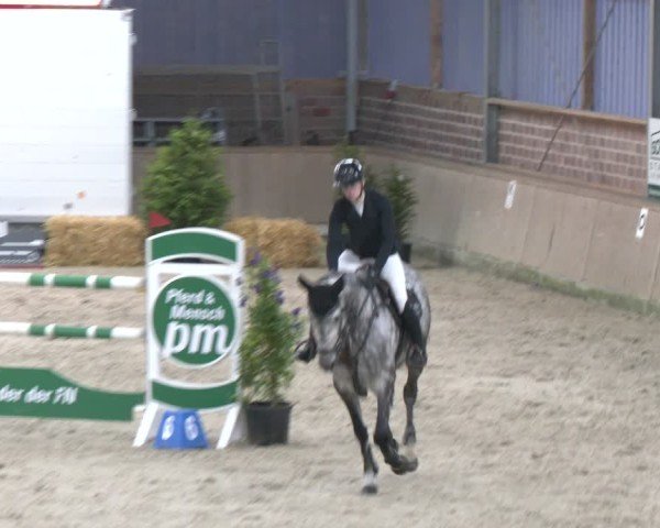 Reitturnier Heek-Nienborg 2024
