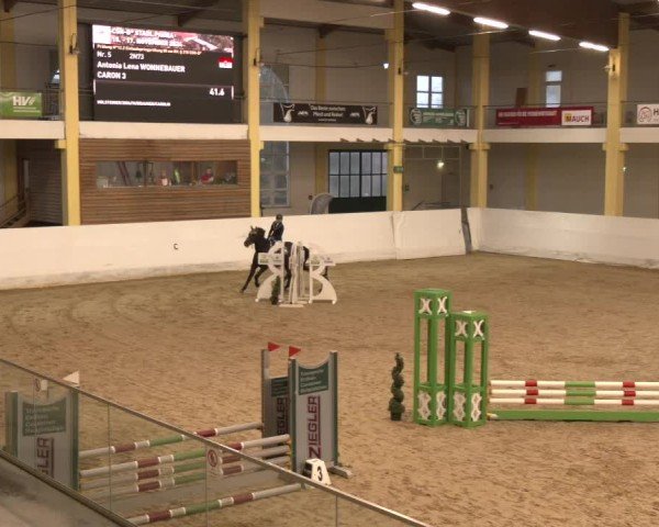 Reitturnier Stadl-Paura 2024