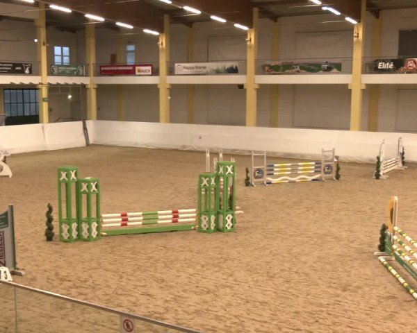 Reitturnier Stadl-Paura 2024