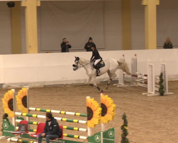Reitturnier Stadl-Paura 2024