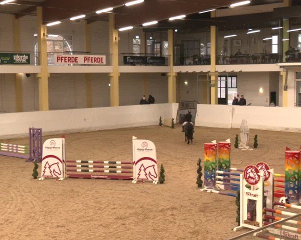 Reitturnier Stadl-Paura 2024