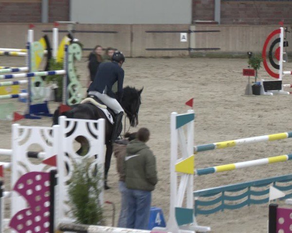 Reitturnier Heek-Nienborg 2024