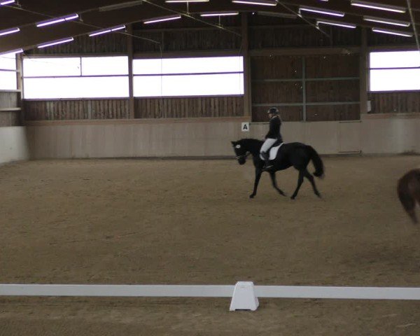 Reitturnier Marktredwitz-Haag/Ofr. 2024