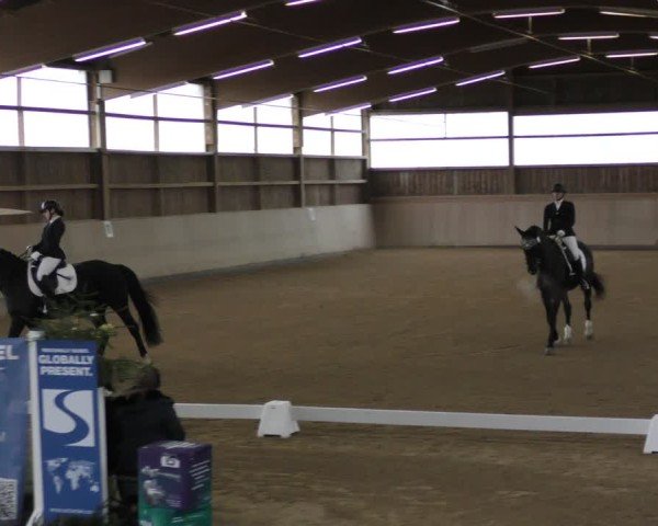 Reitturnier Marktredwitz-Haag/Ofr. 2024