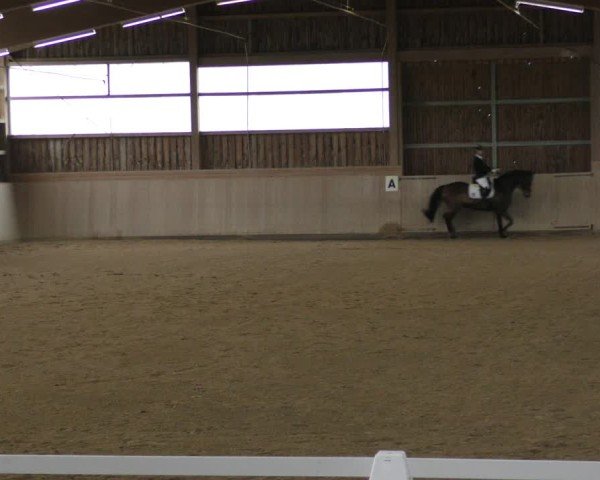 Reitturnier Marktredwitz-Haag/Ofr. 2024