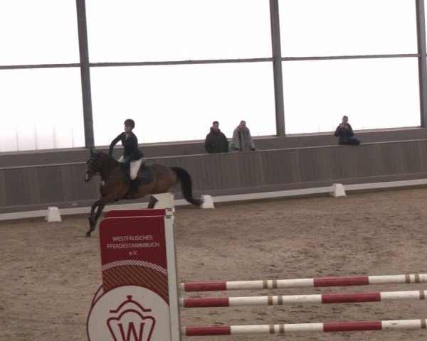 Reitturnier Münster-Handorf 2024