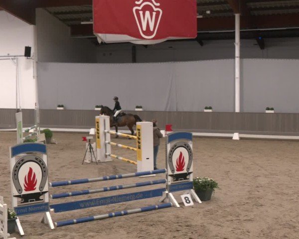 Reitturnier Münster-Handorf 2024