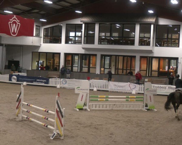 Reitturnier Münster-Handorf 2024