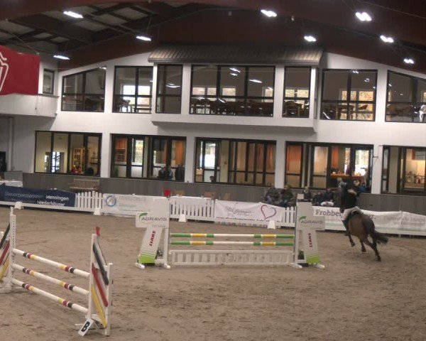 Reitturnier Münster-Handorf 2024