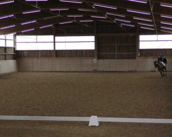 Reitturnier Marktredwitz-Haag/Ofr. 2024