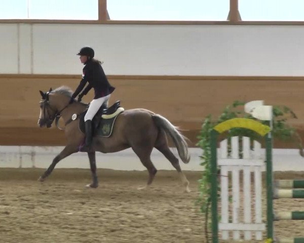 Reitturnier Thierhaupten-Ötz 2013