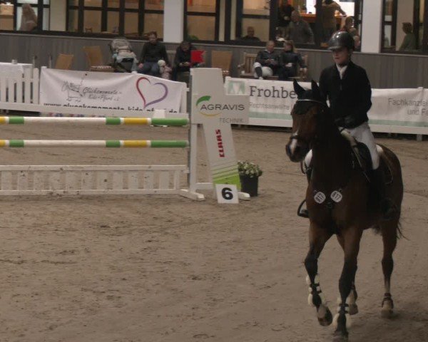 Reitturnier Münster-Handorf 2024