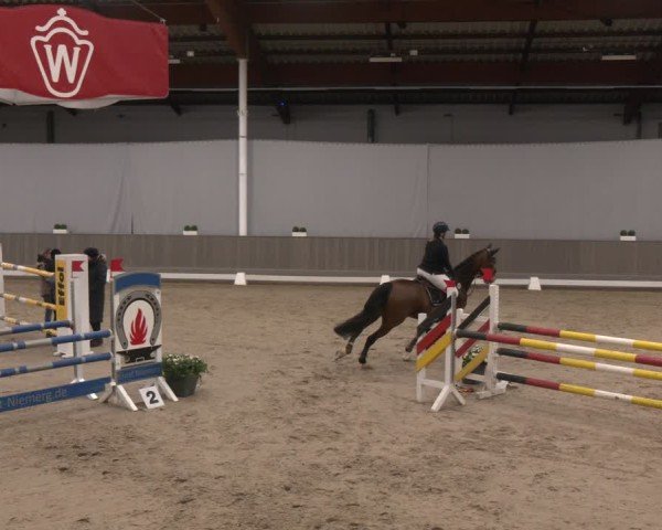 Reitturnier Münster-Handorf 2024
