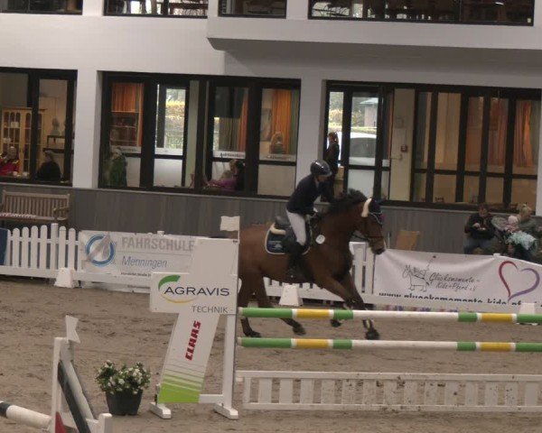 Reitturnier Münster-Handorf 2024