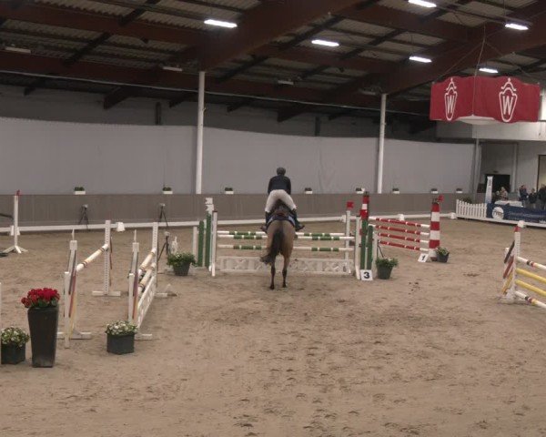Reitturnier Münster-Handorf 2024