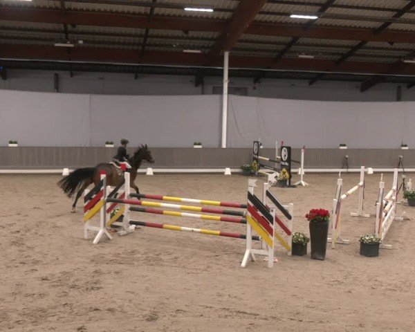 Reitturnier Münster-Handorf 2024