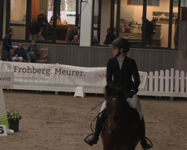 Reitturnier Münster-Handorf 2024
