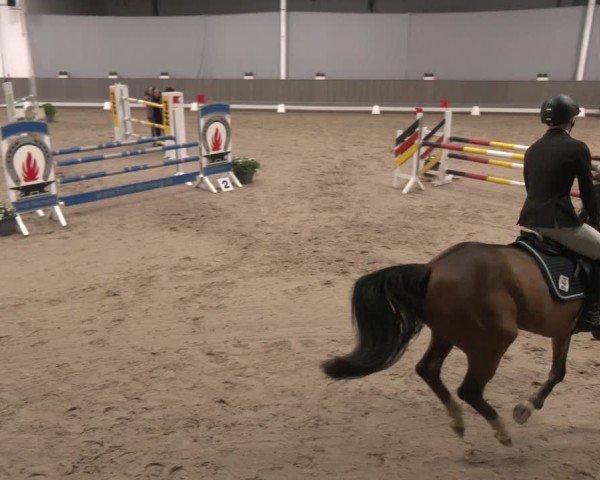 Reitturnier Münster-Handorf 2024