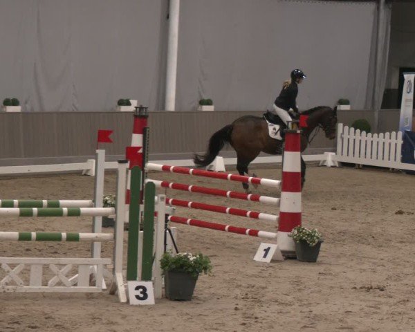 Reitturnier Münster-Handorf 2024