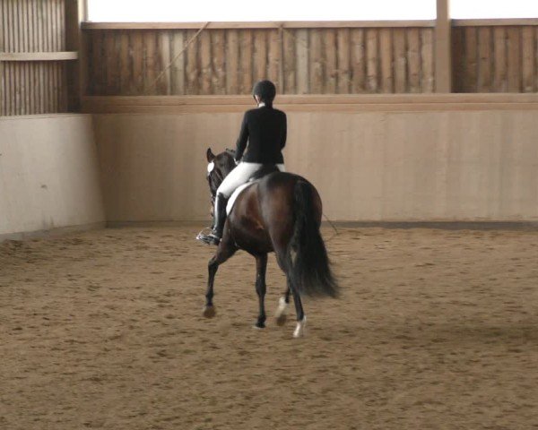 Reitturnier Marktredwitz-Haag/Ofr. 2024