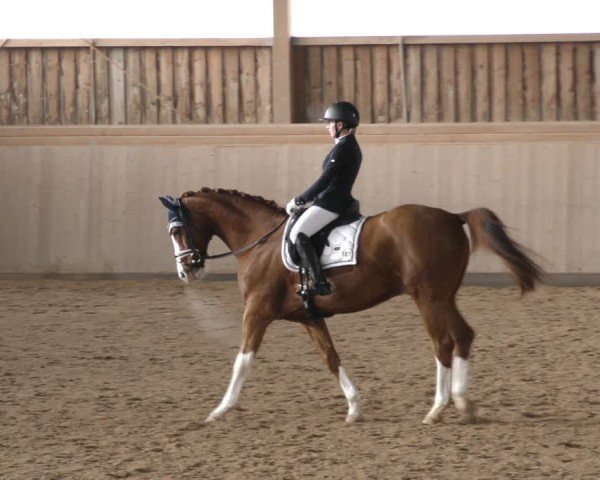 Reitturnier Marktredwitz-Haag/Ofr. 2024