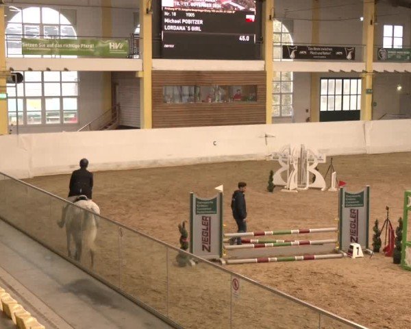 Reitturnier Stadl-Paura 2024