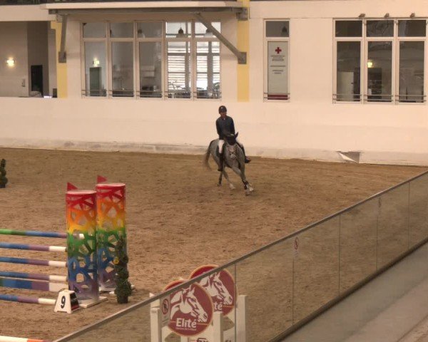 Reitturnier Stadl-Paura 2024
