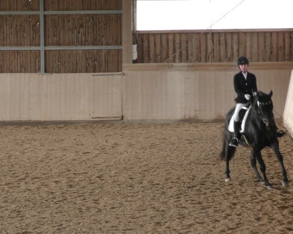 Reitturnier Marktredwitz-Haag/Ofr. 2024