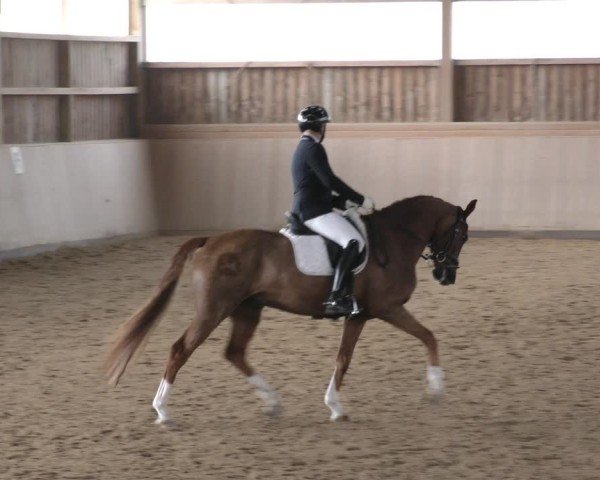Reitturnier Marktredwitz-Haag/Ofr. 2024