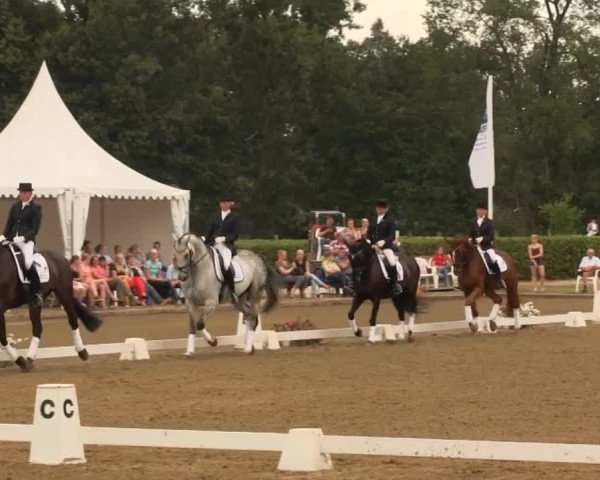 Reitturnier Münster-Handorf 2013