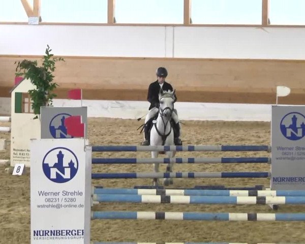 Reitturnier Thierhaupten-Ötz 2013