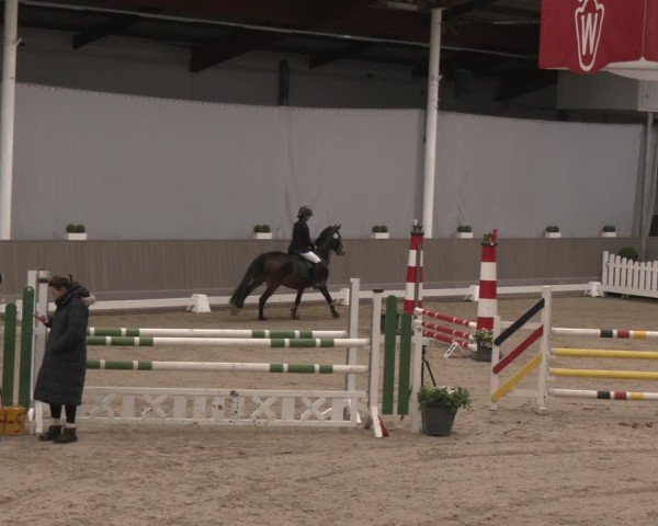 Reitturnier Münster-Handorf 2024