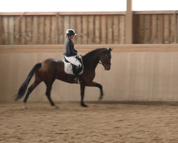 Reitturnier Marktredwitz-Haag/Ofr. 2024