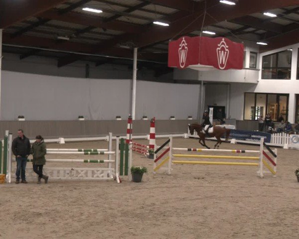 Reitturnier Münster-Handorf 2024